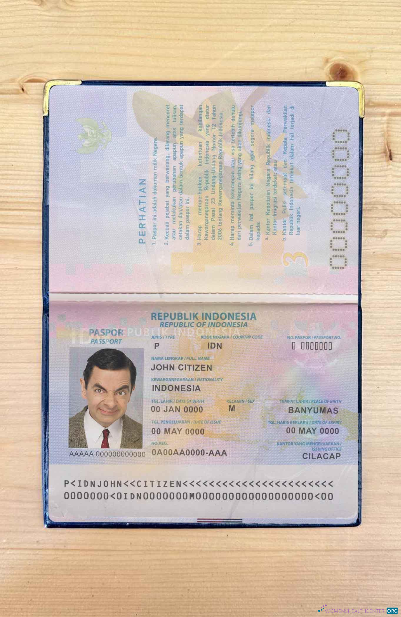 Download Indonesia pass photo look Photoshop template